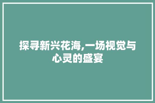 探寻新兴花海,一场视觉与心灵的盛宴