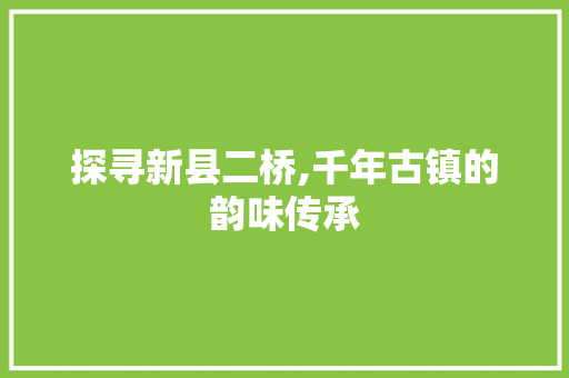 探寻新县二桥,千年古镇的韵味传承