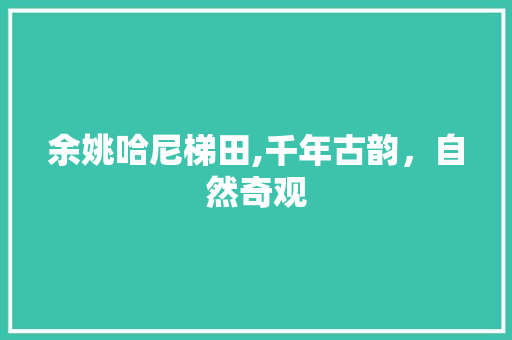 余姚哈尼梯田,千年古韵，自然奇观  第1张