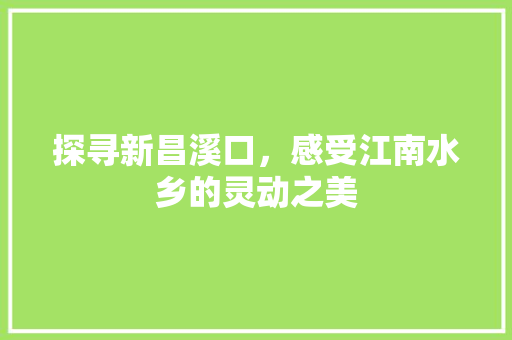 探寻新昌溪口，感受江南水乡的灵动之美