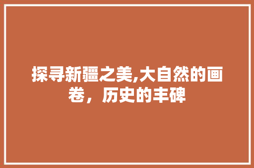 探寻新疆之美,大自然的画卷，历史的丰碑