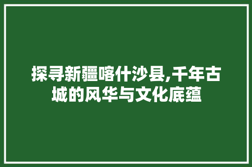 探寻新疆喀什沙县,千年古城的风华与文化底蕴