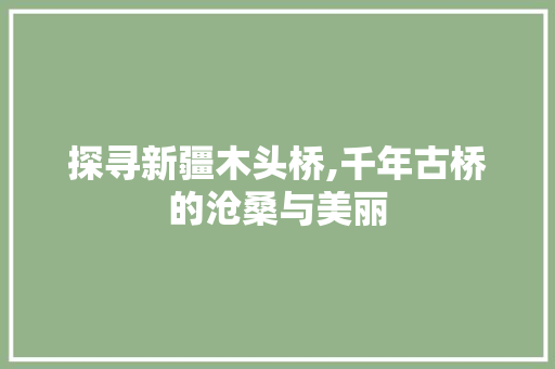 探寻新疆木头桥,千年古桥的沧桑与美丽