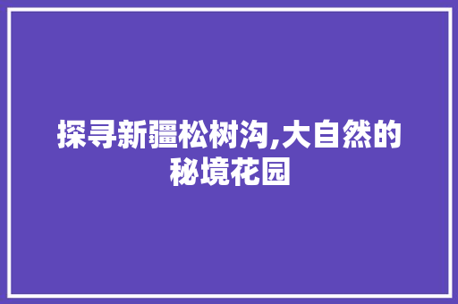 探寻新疆松树沟,大自然的秘境花园