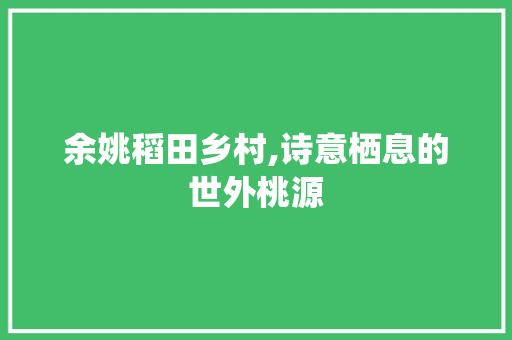 余姚稻田乡村,诗意栖息的世外桃源