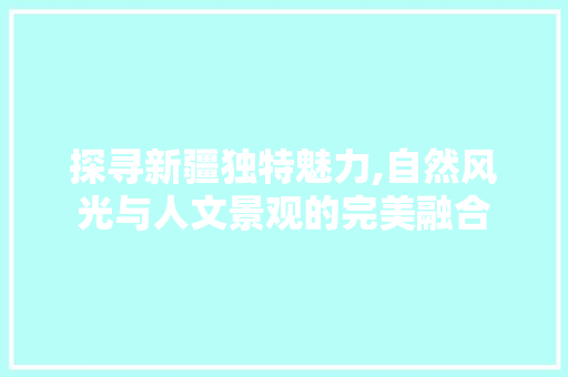 探寻新疆独特魅力,自然风光与人文景观的完美融合