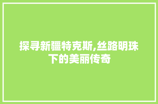 探寻新疆特克斯,丝路明珠下的美丽传奇