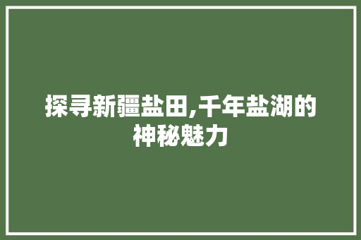 探寻新疆盐田,千年盐湖的神秘魅力