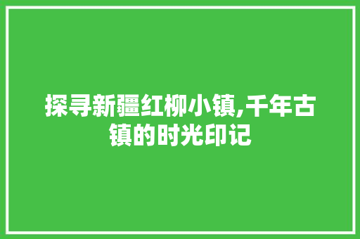 探寻新疆红柳小镇,千年古镇的时光印记