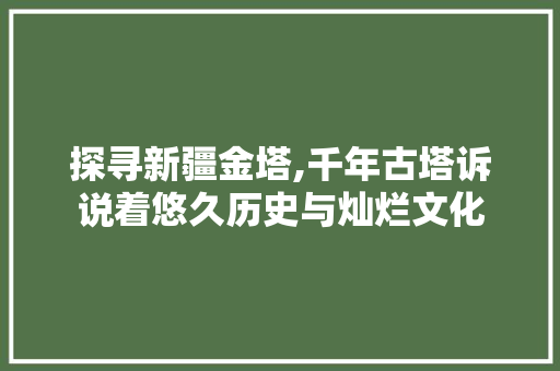 探寻新疆金塔,千年古塔诉说着悠久历史与灿烂文化