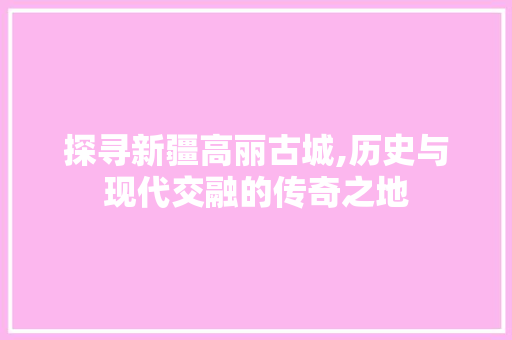 探寻新疆高丽古城,历史与现代交融的传奇之地