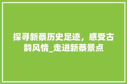 探寻新蔡历史足迹，感受古韵风情_走进新蔡景点  第1张