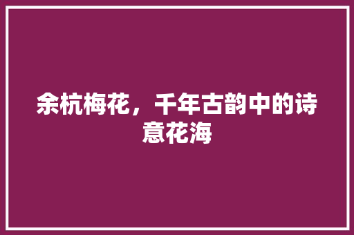 余杭梅花，千年古韵中的诗意花海