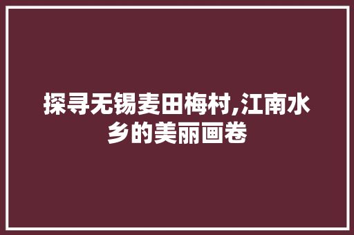 探寻无锡麦田梅村,江南水乡的美丽画卷