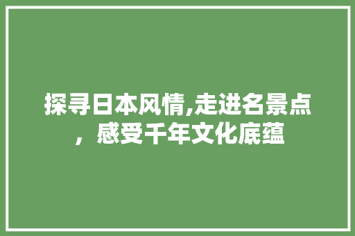 探寻日本风情,走进名景点，感受千年文化底蕴