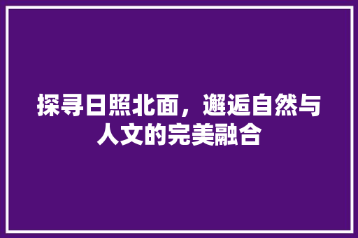 探寻日照北面，邂逅自然与人文的完美融合