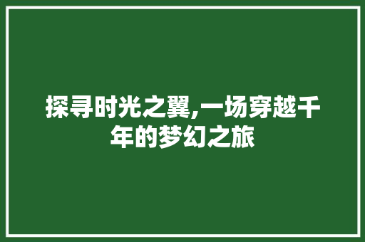 探寻时光之翼,一场穿越千年的梦幻之旅