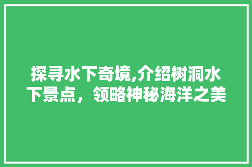 探寻水下奇境,介绍树洞水下景点，领略神秘海洋之美