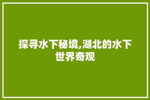 探寻水下秘境,湖北的水下世界奇观