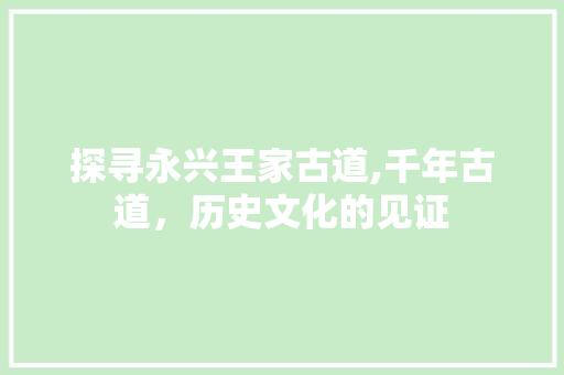 探寻永兴王家古道,千年古道，历史文化的见证