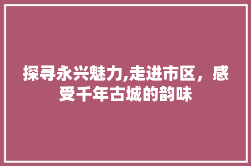 探寻永兴魅力,走进市区，感受千年古城的韵味