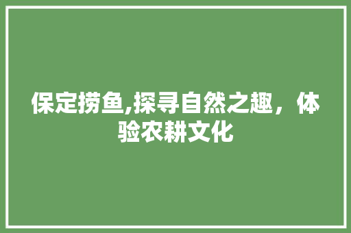 保定捞鱼,探寻自然之趣，体验农耕文化  第1张