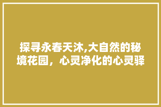 探寻永春天沐,大自然的秘境花园，心灵净化的心灵驿站