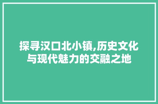 探寻汉口北小镇,历史文化与现代魅力的交融之地