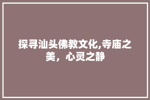 探寻汕头佛教文化,寺庙之美，心灵之静