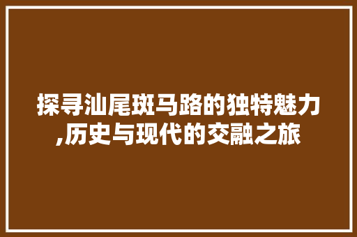 探寻汕尾斑马路的独特魅力,历史与现代的交融之旅