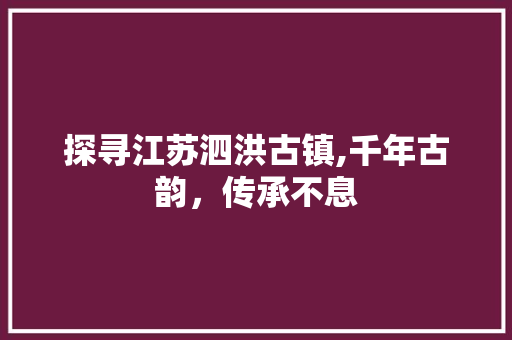 探寻江苏泗洪古镇,千年古韵，传承不息