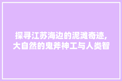 探寻江苏海边的泥滩奇迹,大自然的鬼斧神工与人类智慧的结晶