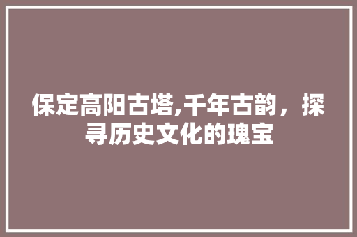 保定高阳古塔,千年古韵，探寻历史文化的瑰宝