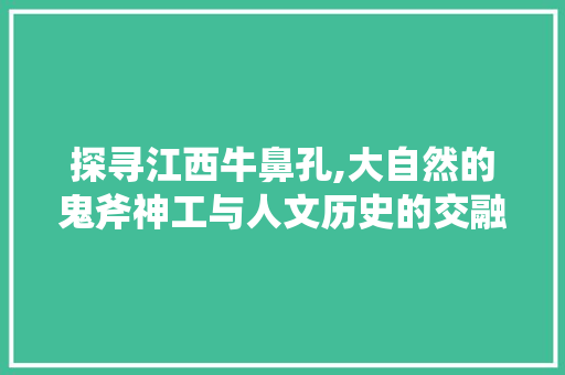 探寻江西牛鼻孔,大自然的鬼斧神工与人文历史的交融