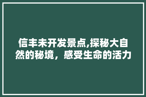 信丰未开发景点,探秘大自然的秘境，感受生命的活力