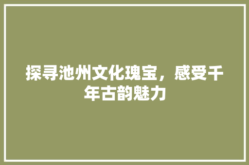 探寻池州文化瑰宝，感受千年古韵魅力  第1张