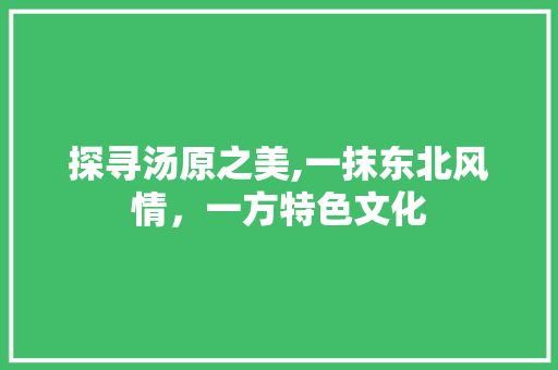 探寻汤原之美,一抹东北风情，一方特色文化