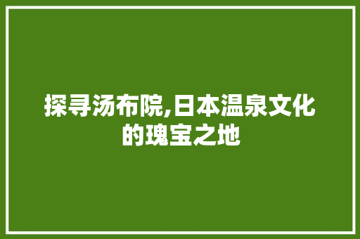 探寻汤布院,日本温泉文化的瑰宝之地