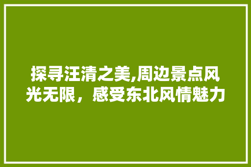 探寻汪清之美,周边景点风光无限，感受东北风情魅力