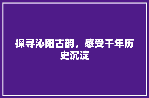 探寻沁阳古韵，感受千年历史沉淀