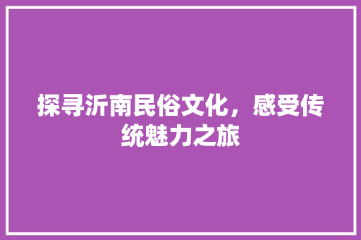 探寻沂南民俗文化，感受传统魅力之旅