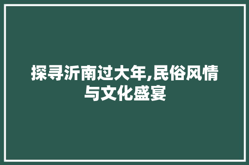 探寻沂南过大年,民俗风情与文化盛宴