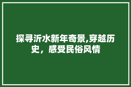 探寻沂水新年奇景,穿越历史，感受民俗风情