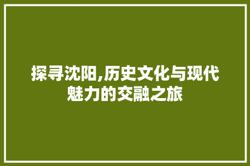 探寻沈阳,历史文化与现代魅力的交融之旅