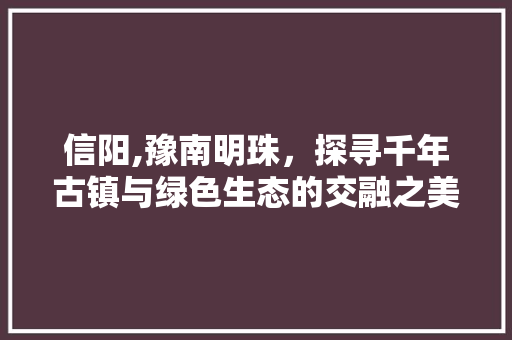 信阳,豫南明珠，探寻千年古镇与绿色生态的交融之美  第1张