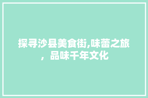 探寻沙县美食街,味蕾之旅，品味千年文化