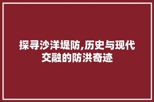 探寻沙洋堤防,历史与现代交融的防洪奇迹