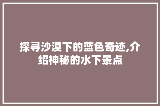 探寻沙漠下的蓝色奇迹,介绍神秘的水下景点