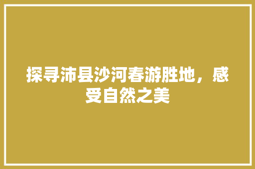 探寻沛县沙河春游胜地，感受自然之美