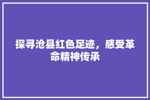 探寻沧县红色足迹，感受革命精神传承